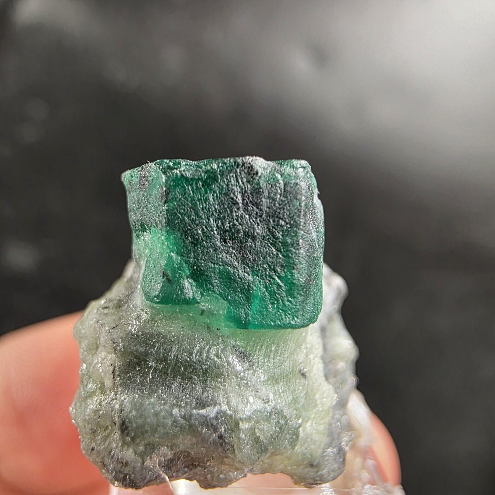 Natural Swat Emerald Crystal on Matrix Pakistan Mineral Specimen (11g)