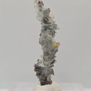 Rare Brookite Crystal on Albite Matrix | Pakistani Thumbnail Specimen (53x20x11mm)