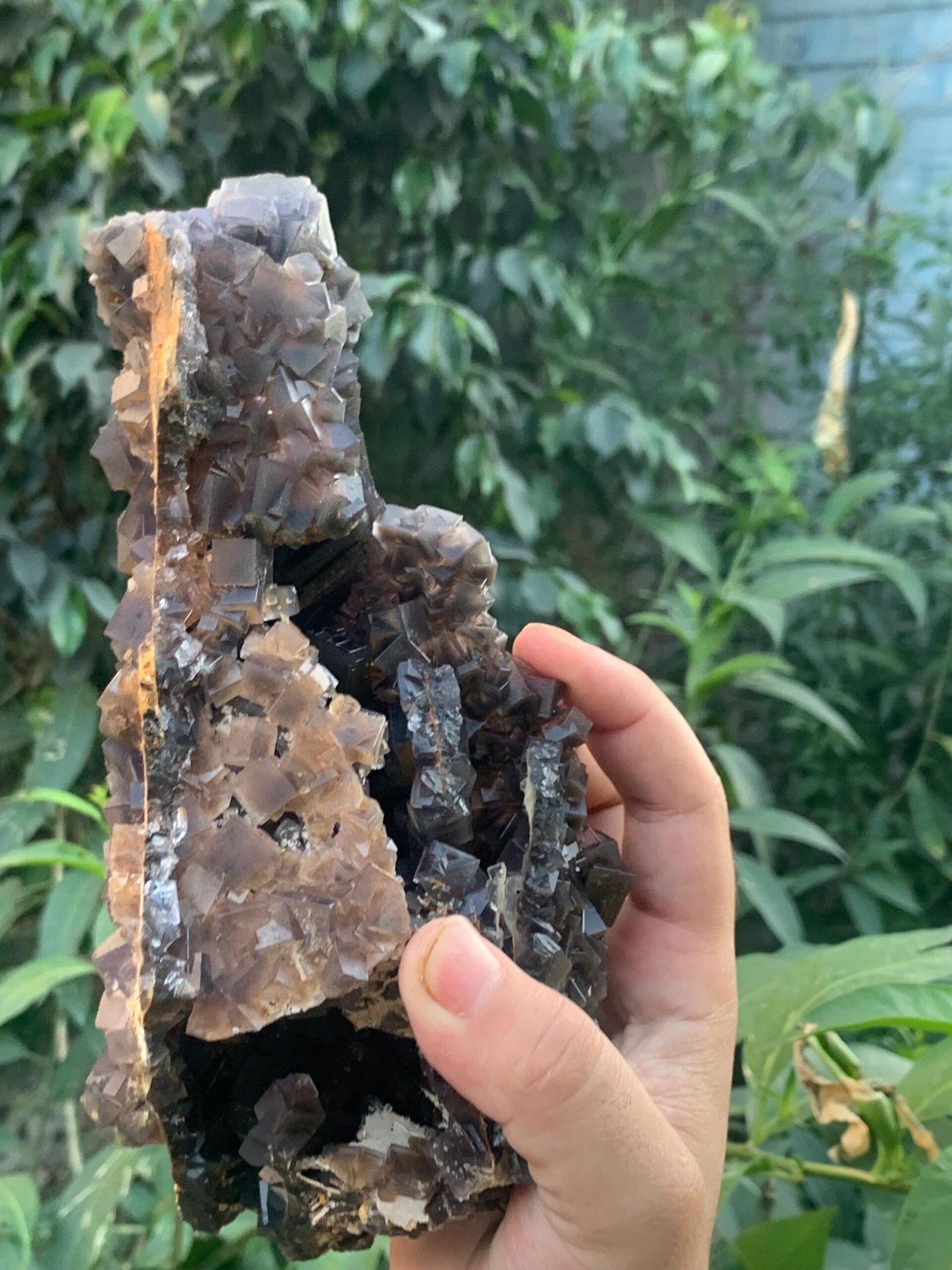 Majestic Dark Cubic Fluorite Cluster - Image 3