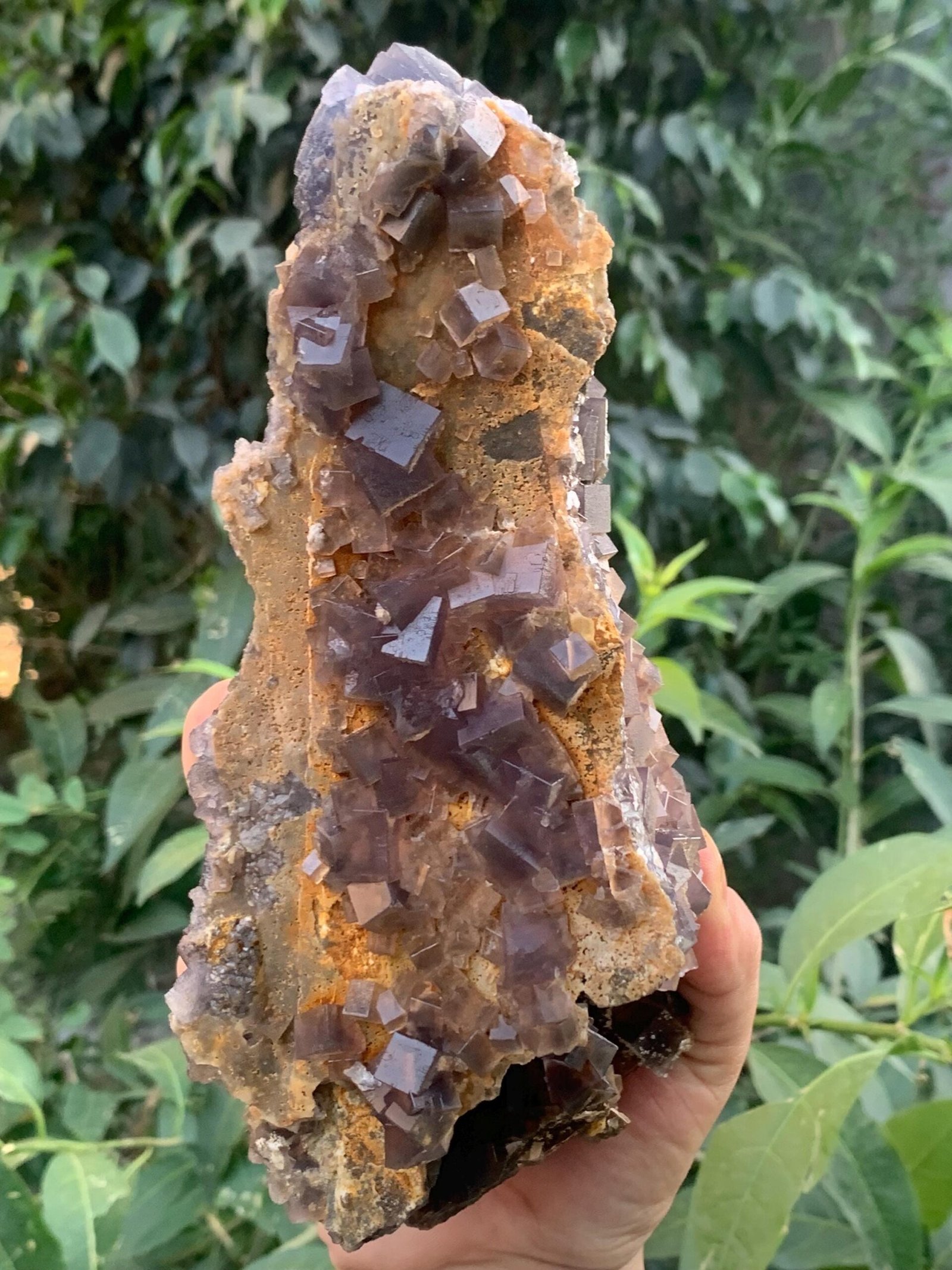Majestic Dark Cubic Fluorite Cluster - Image 2