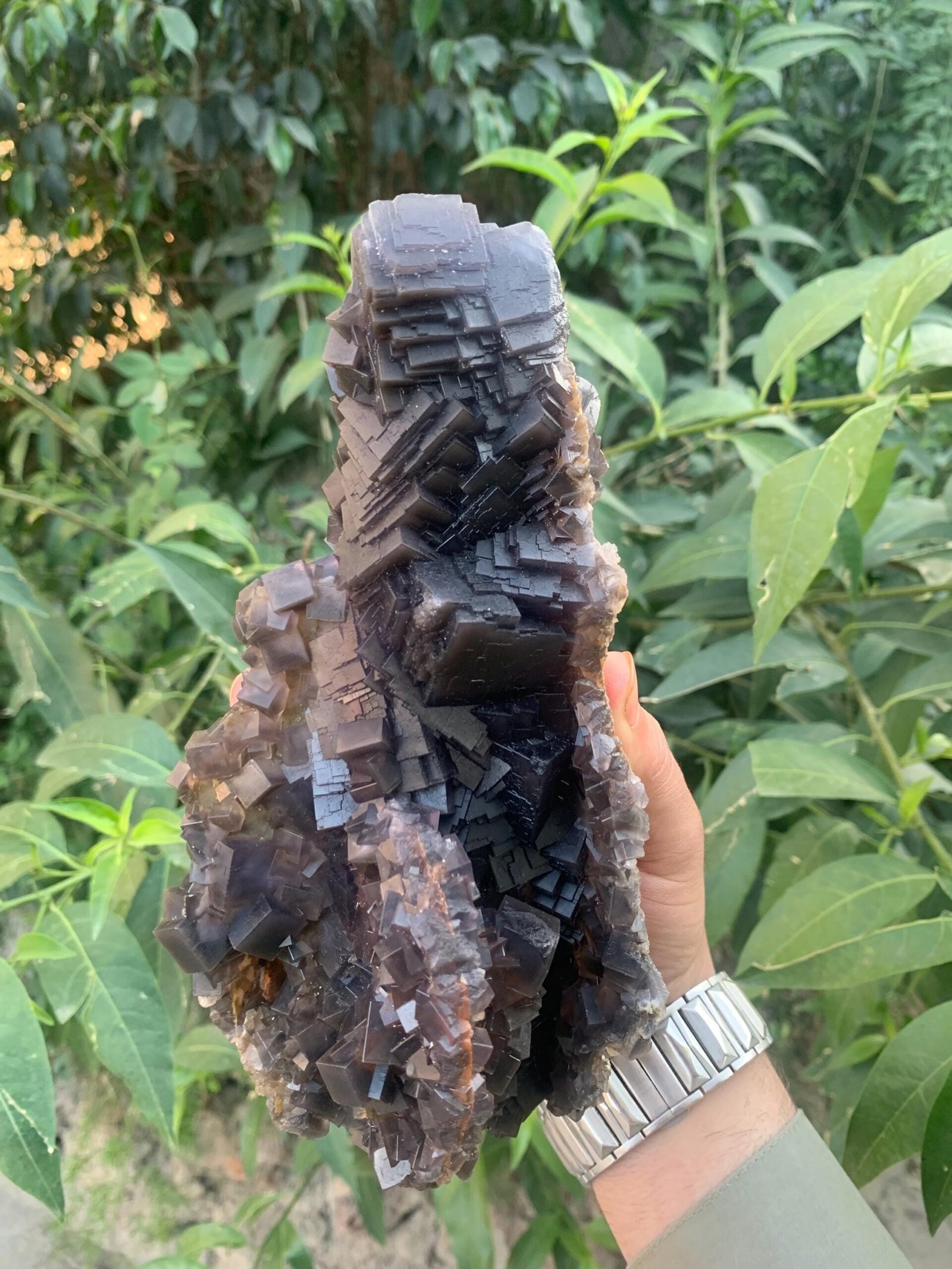 Majestic Dark Cubic Fluorite Cluster