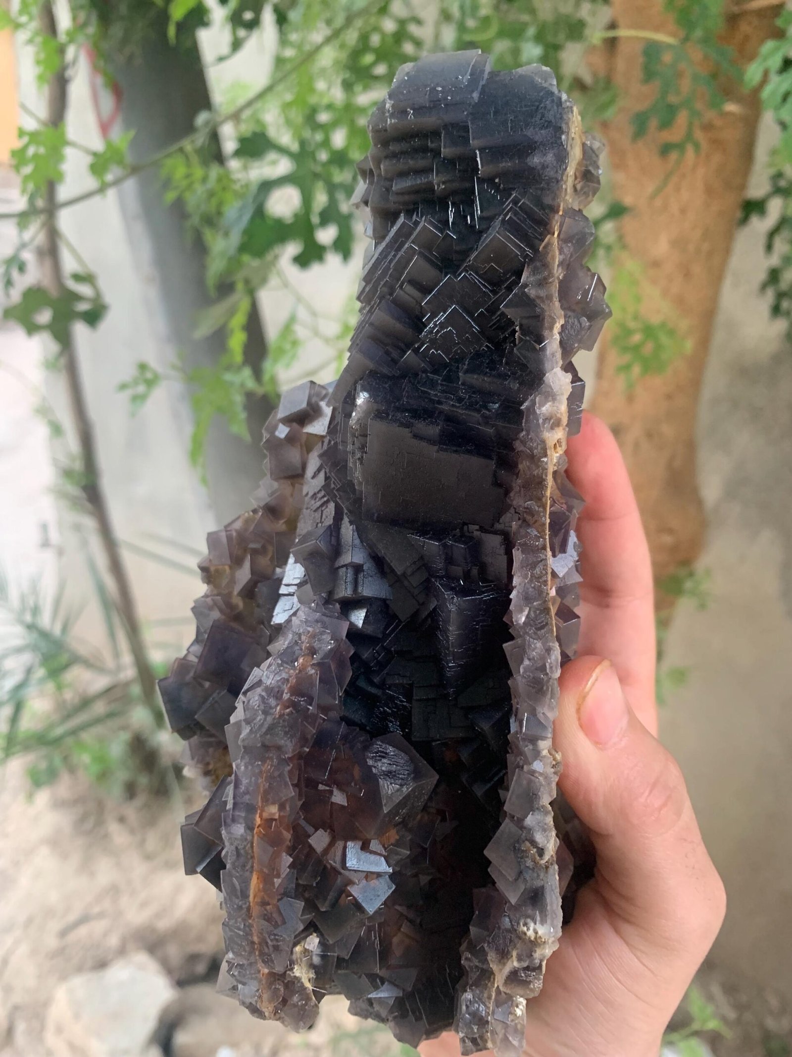 Majestic Dark Cubic Fluorite Cluster - Image 5