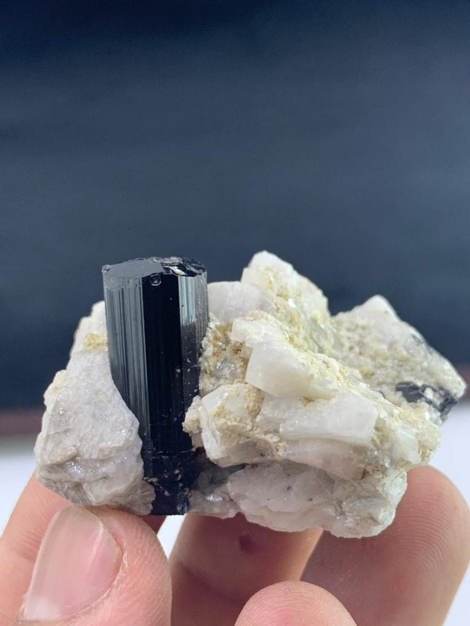 Tourmaline Crystal combined with Feldspar Matrix 43.11G
