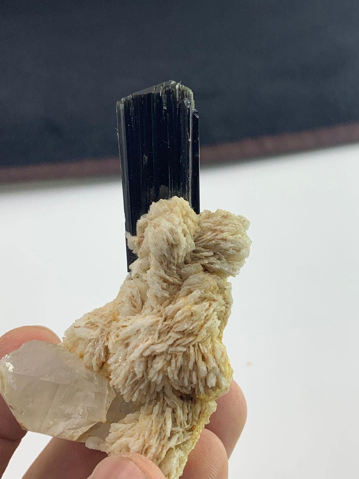 Black Tourmaline Crystal on Muscovite Matrix & Quartz | Natural Terminated Schorl Specimen 76.68 G - Image 5