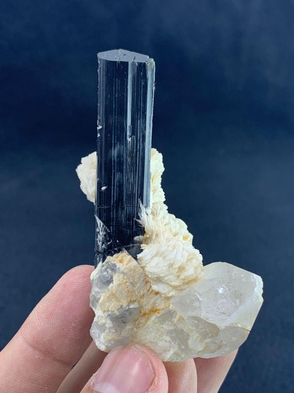 Black Tourmaline Crystal on Muscovite Matrix & Quartz | Natural Terminated Schorl Specimen 76.68 G - Image 6