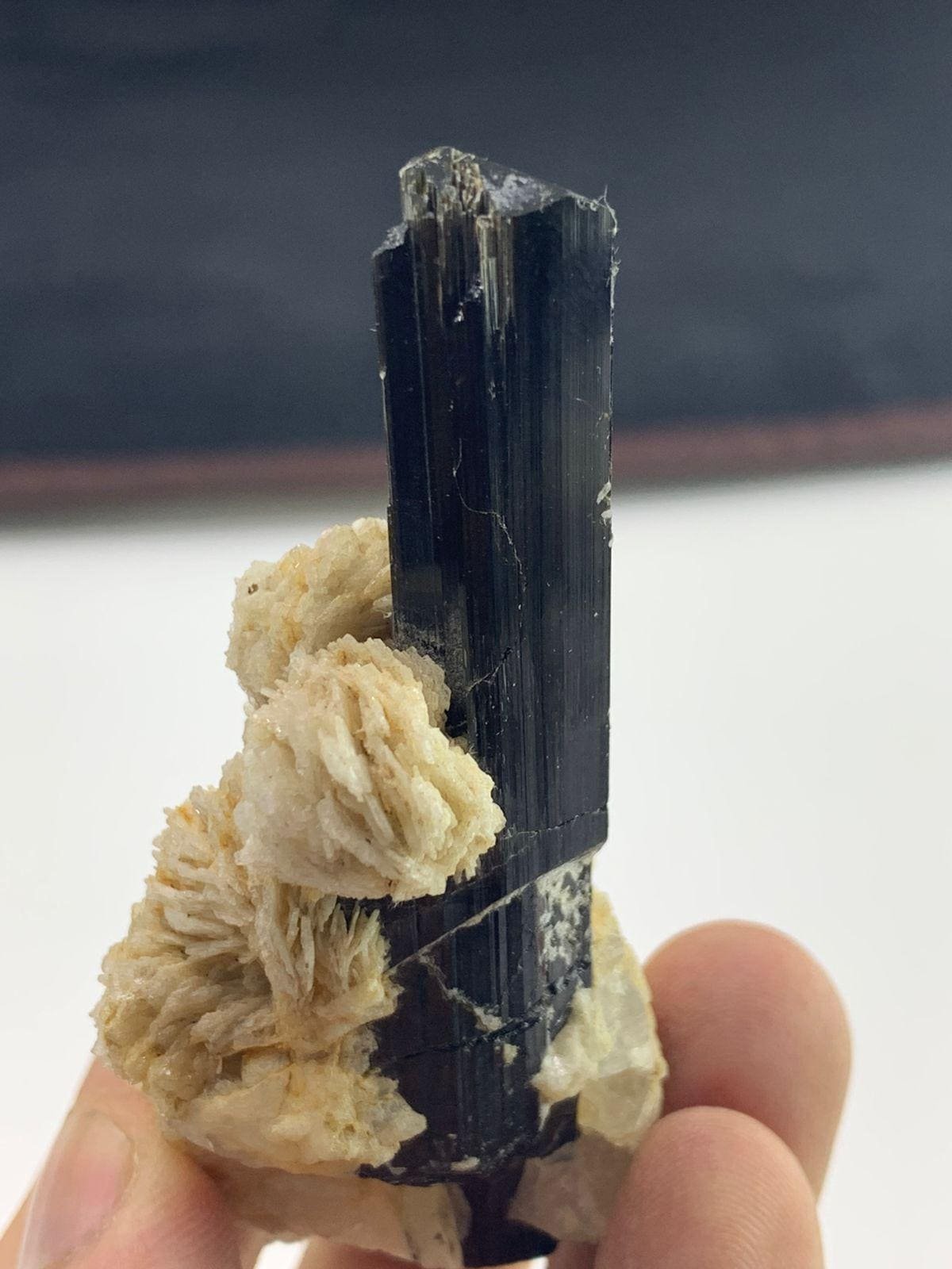 Black Tourmaline Crystal on Muscovite Matrix & Quartz | Natural Terminated Schorl Specimen 76.68 G - Image 2