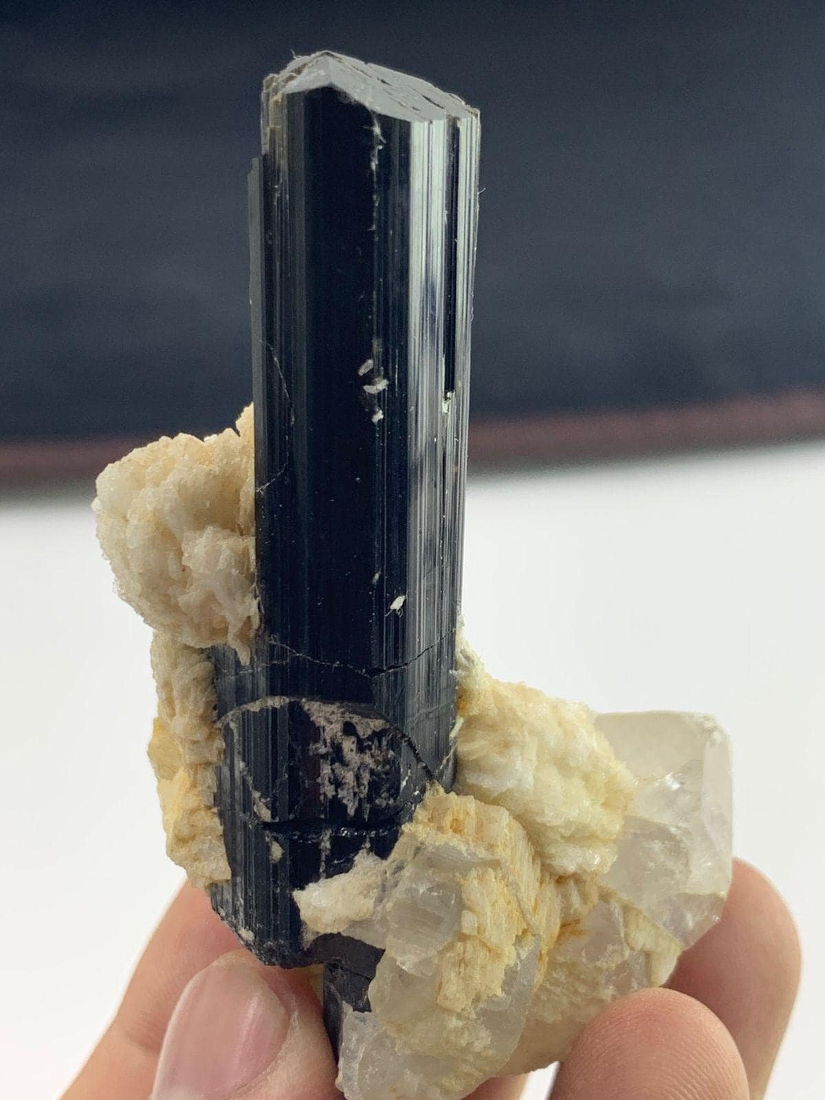 Black Tourmaline Crystal on Muscovite Matrix & Quartz | Natural Terminated Schorl Specimen 76.68 G - Image 3