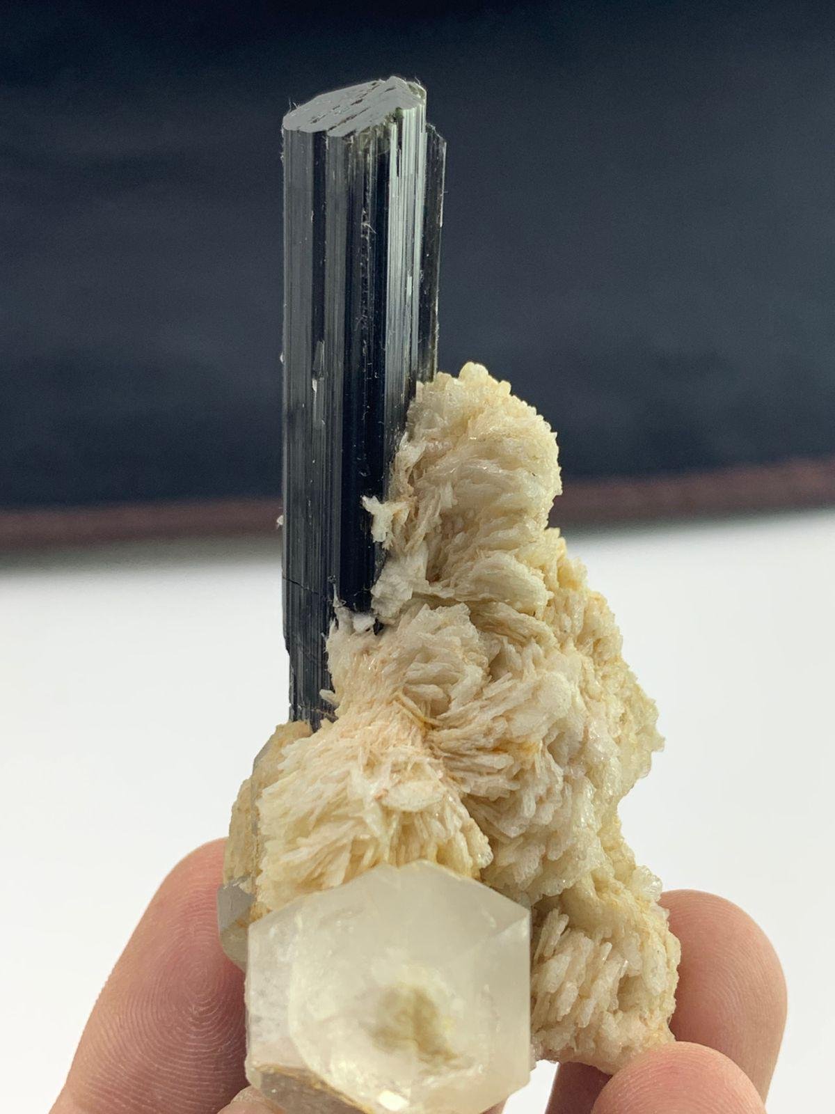 Black Tourmaline Crystal on Muscovite Matrix & Quartz | Natural Terminated Schorl Specimen 76.68 G